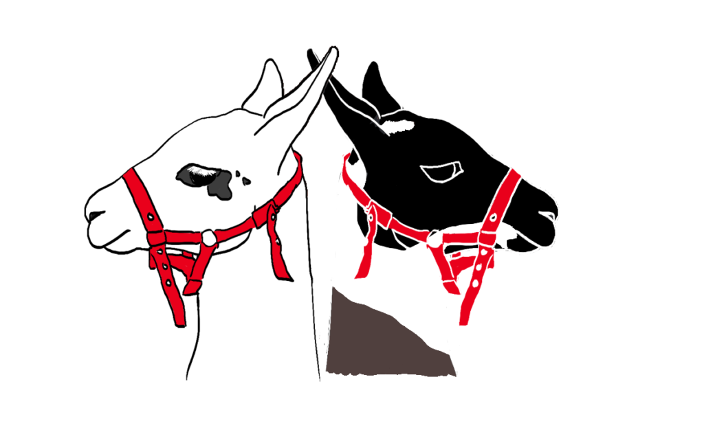 logo rando lama et rando lamas